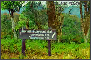 Doi Phahom Pok Nationalpark 2