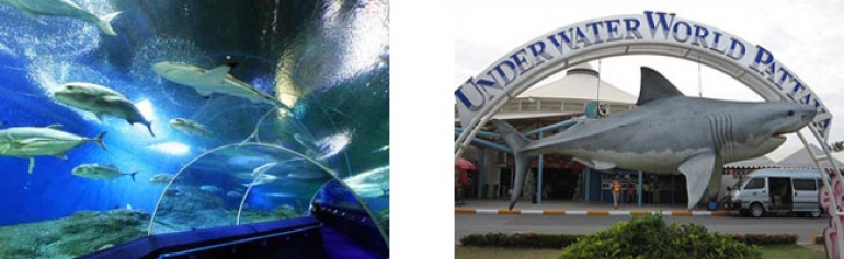 Underwaterworld Pattaya Aquarium